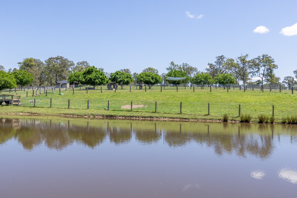 Ellington — landscape