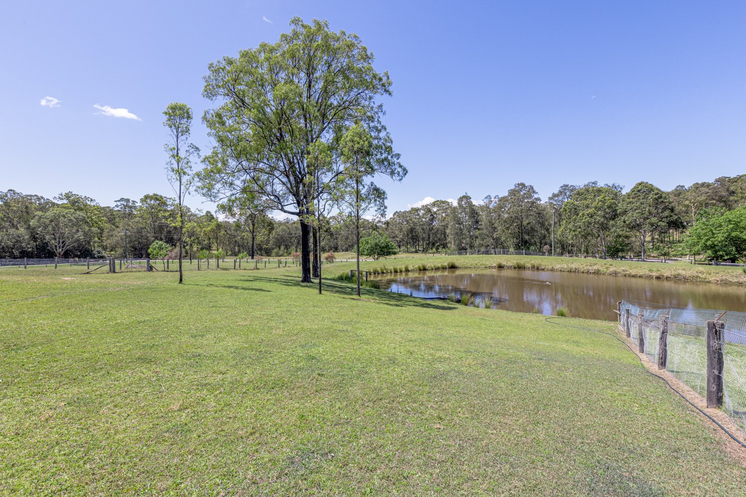 Ellington — dam and grounds